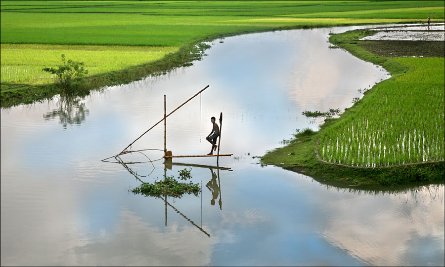 Glocal transparent reporting on climate ch